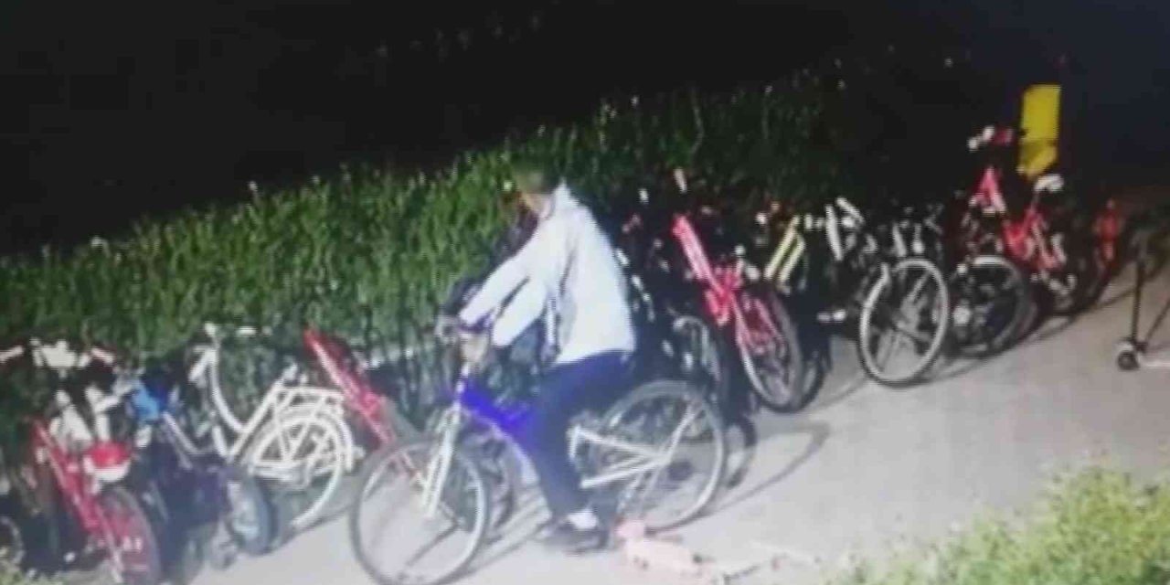 Yürüyerek Geldiler, Bisikletleri Çalıp Gittiler