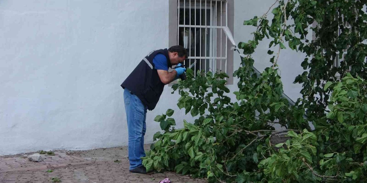 Dut Toplamak İçin Çıktığı Ağaçtan Düşen Yaşlı Adam Yaşamını Yitirdi