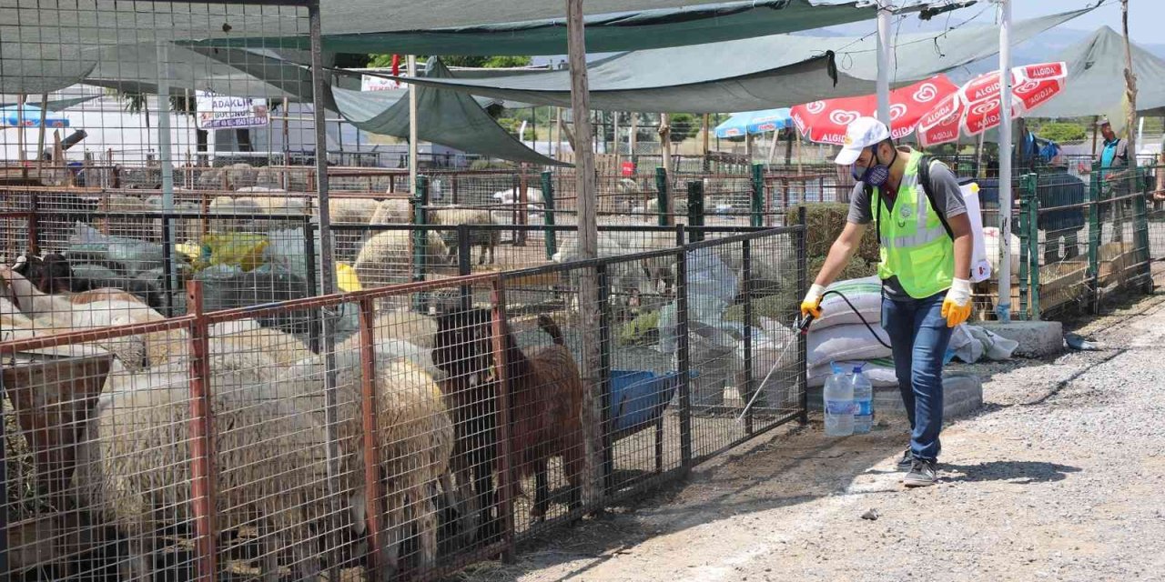 Talas’ın Kurban Pazarı’na Tam Not