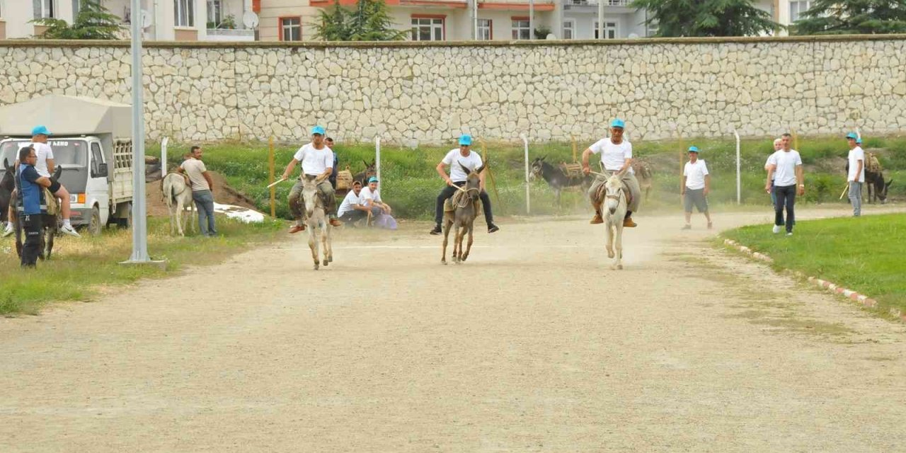 Eşekler Birincilik İçin Yarıştı