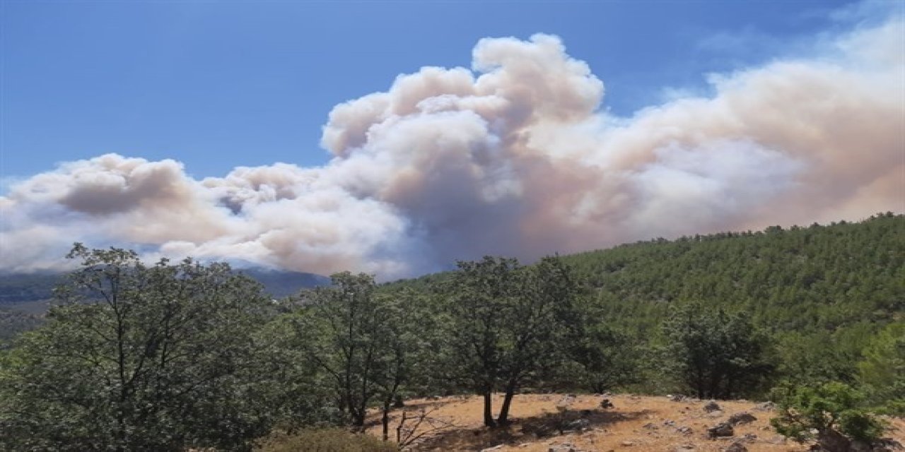 Mersin’de Ormanlık Alanlara Girişler 31 Ağustos’a Kadar Yasaklandı