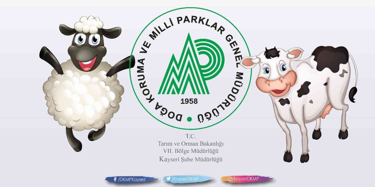 Kurbanlık Hayvana Eziyete Ceza