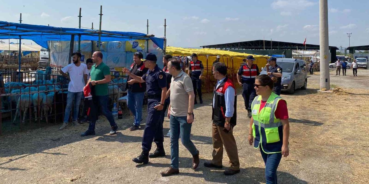 Kurban Bayramı Öncesi Hayvan Pazarı Denetimi