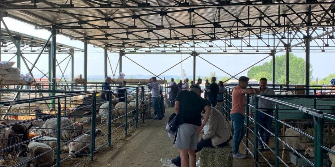 "fiyatları Biraz Düşürdükten Sonra Satışlarımız Arttı"