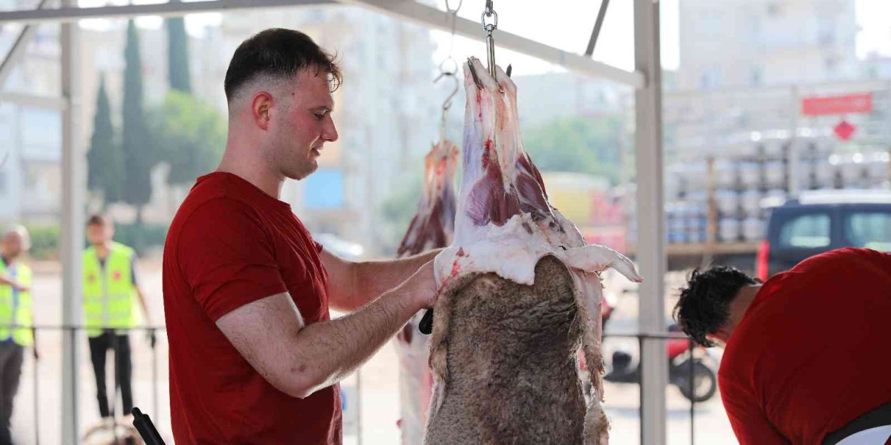Büyükşehir’den 3 Noktada Kurban Kesim Hizmeti