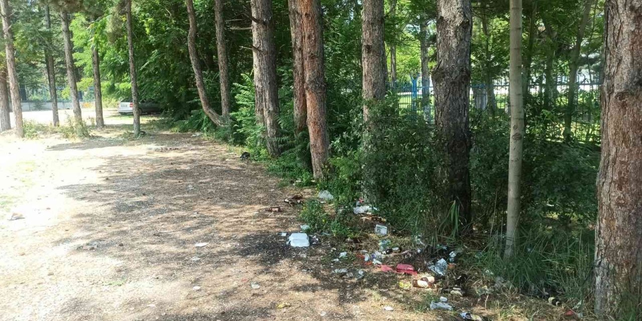 Piknikçiler Çöplerini Bırakıp Gitti