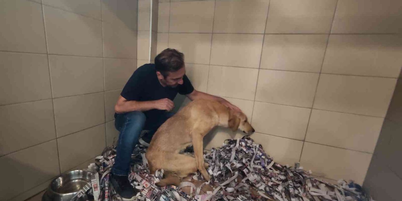 Yürek Yakan Bu Duruma Seyirci Kalmadılar