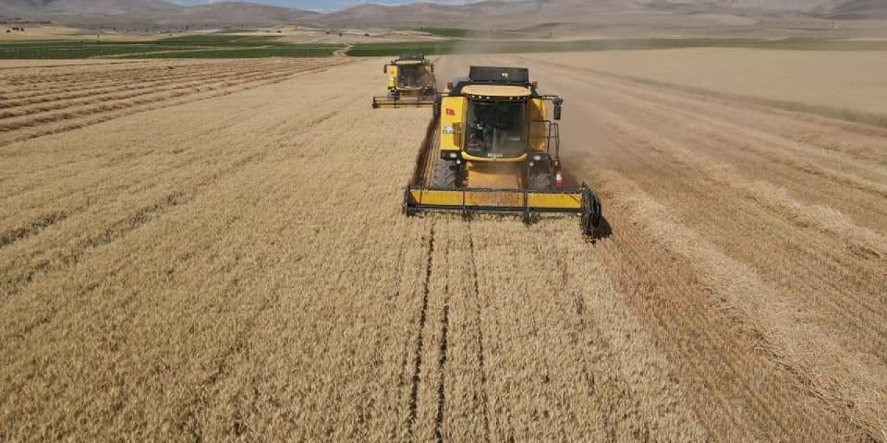 Tomarza’da 2022 Yılı Hububat Hasadı Başladı