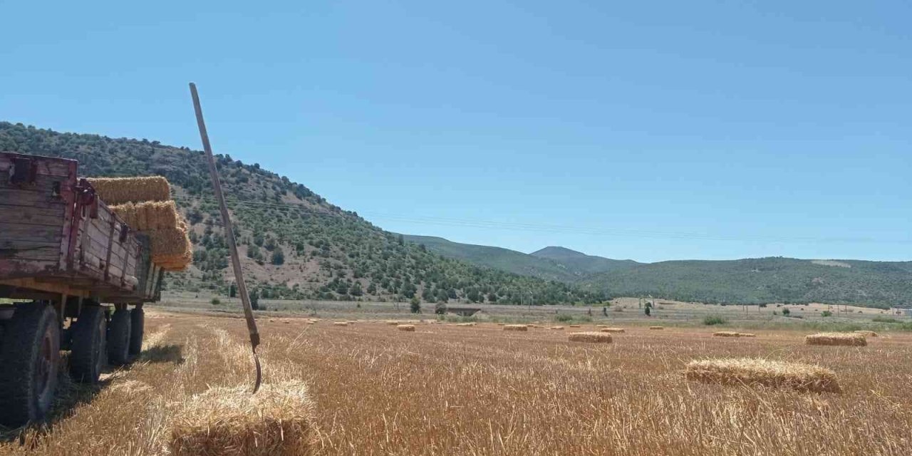 Eskişehir’de Saman Balyası Mesaisi Başladı