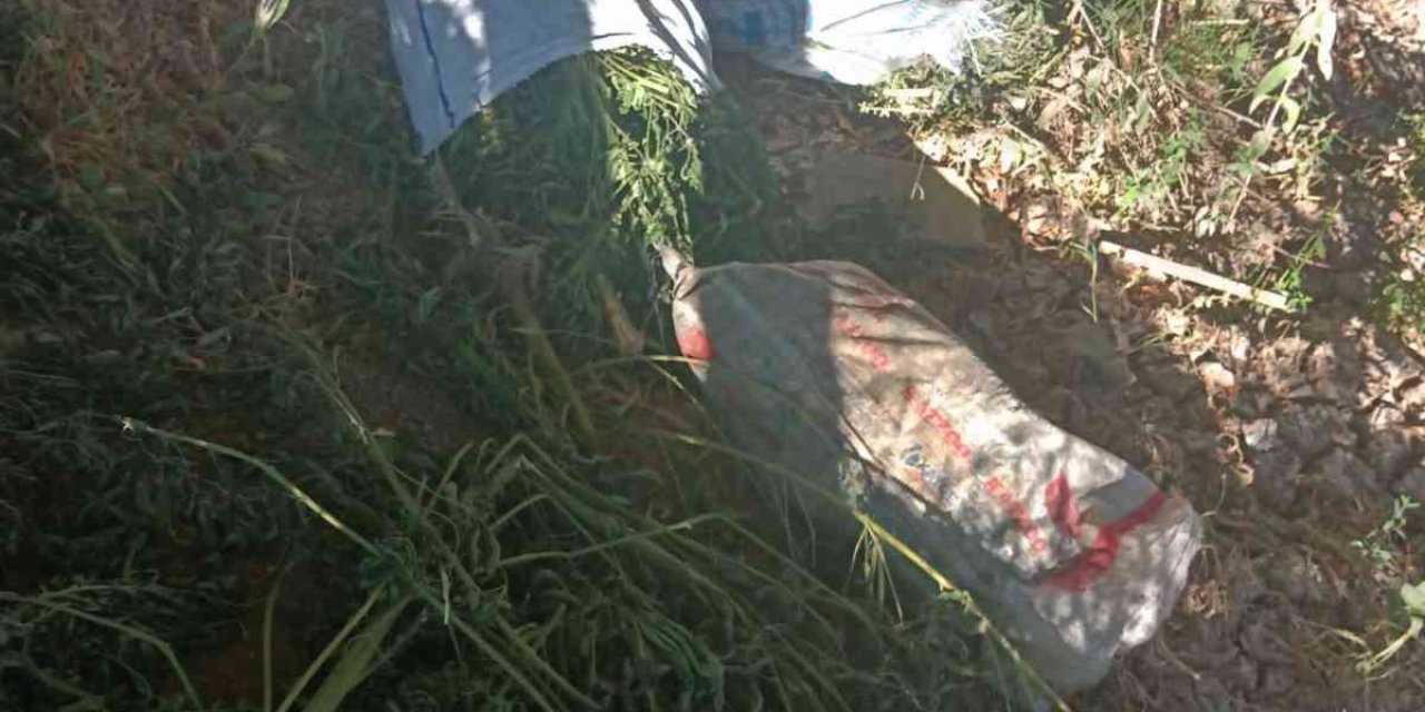 Asayiş Devriye Ekipleri 24 Kilo Hint Keneviri Ele Geçirdi