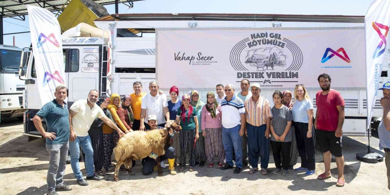 Mersin’de 18 Yetiştiriciye 450 Küçükbaş Hayvan Desteği