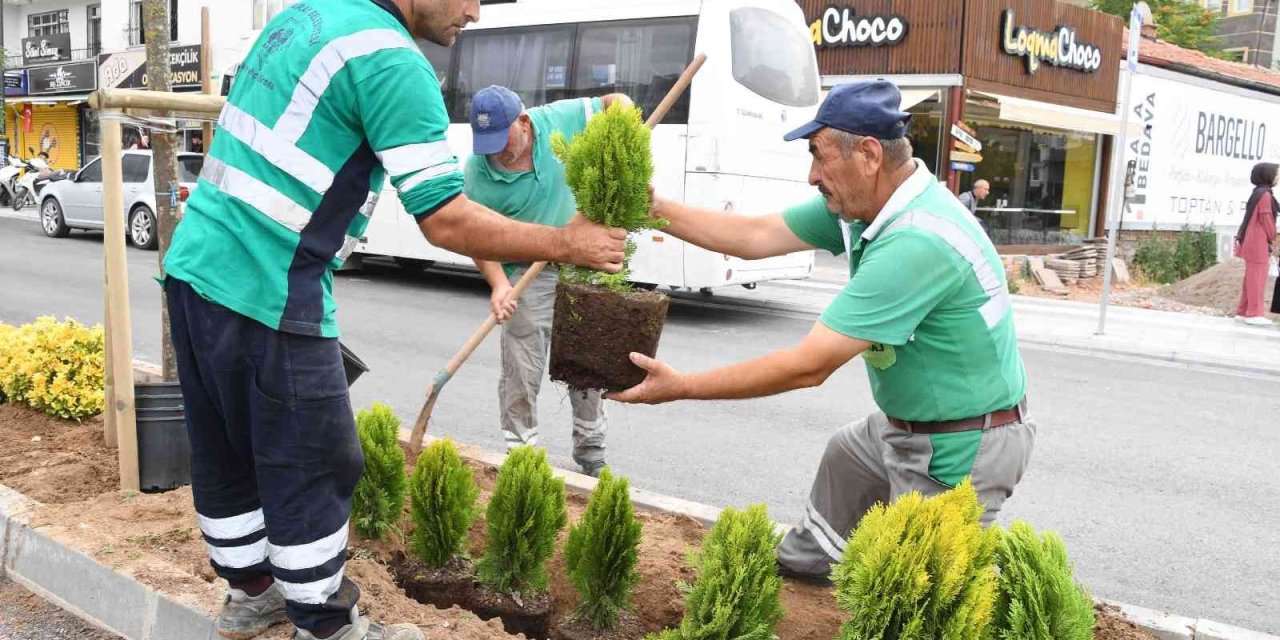 Aksaray’da Park Ve Yeşil Alanlarda Şehre Uyum Sağlayabilen Ağaç Türleri Dikiliyor