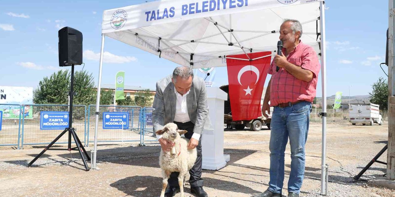 Talas’ın Tarım Ve Hayvancılığa Desteği Sürüyor
