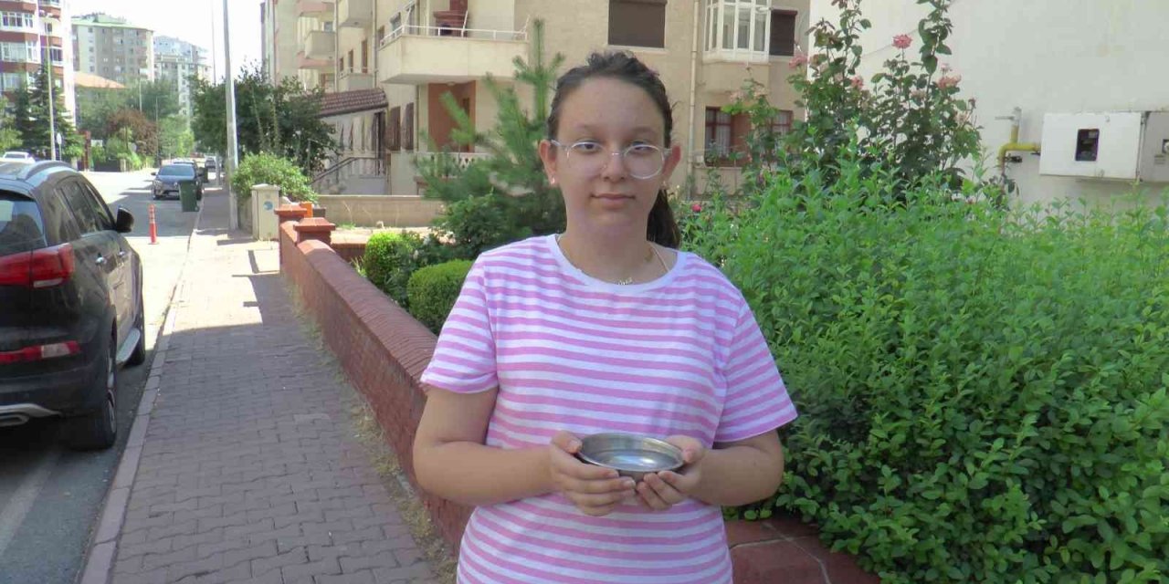 En Güzel Sosyal Medya Akımı