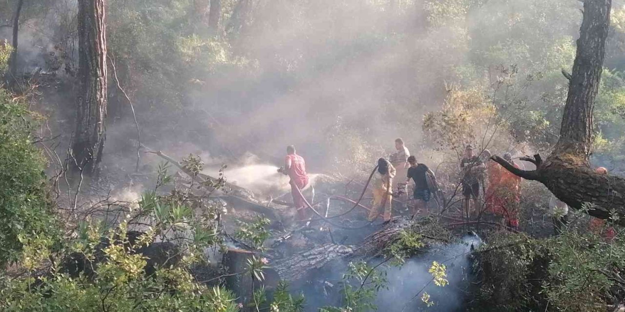Manavgat’taki Orman Yangını Büyümeden Söndürüldü