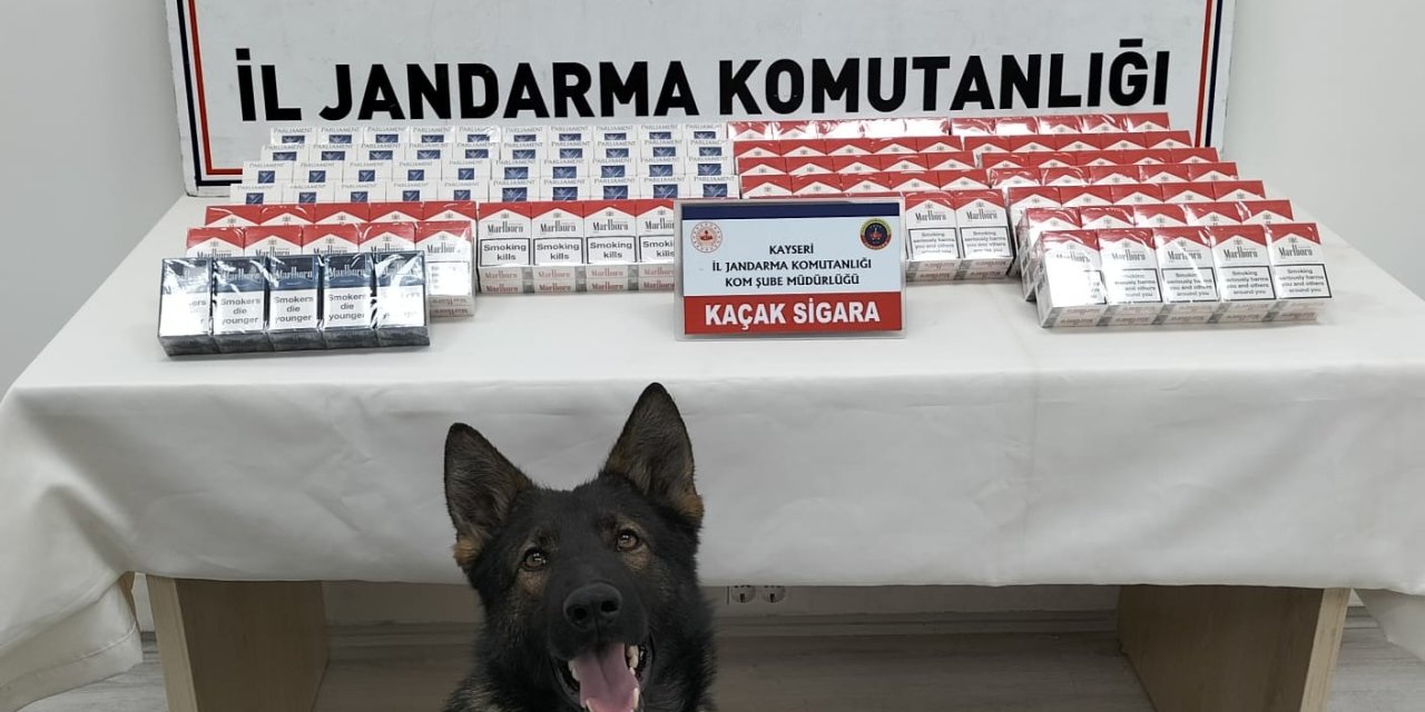 Jandarmadan Kaçak Sigara Operasyonu