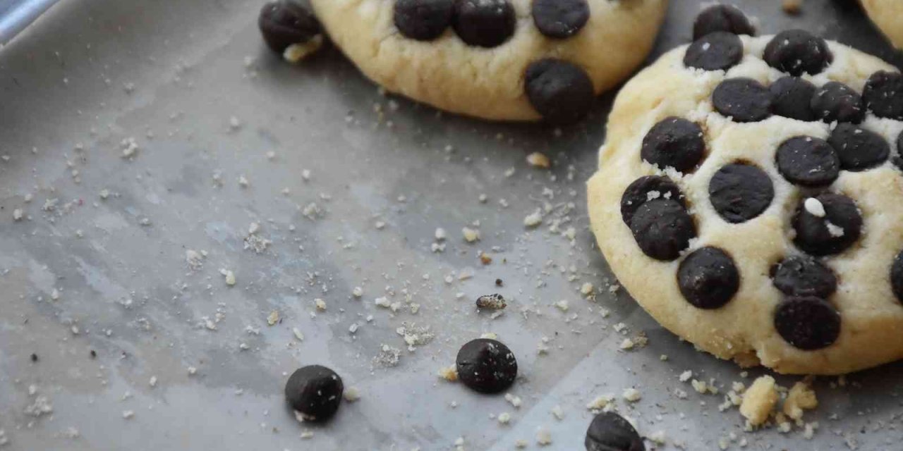 Böcekli Pastalara El Konuldu