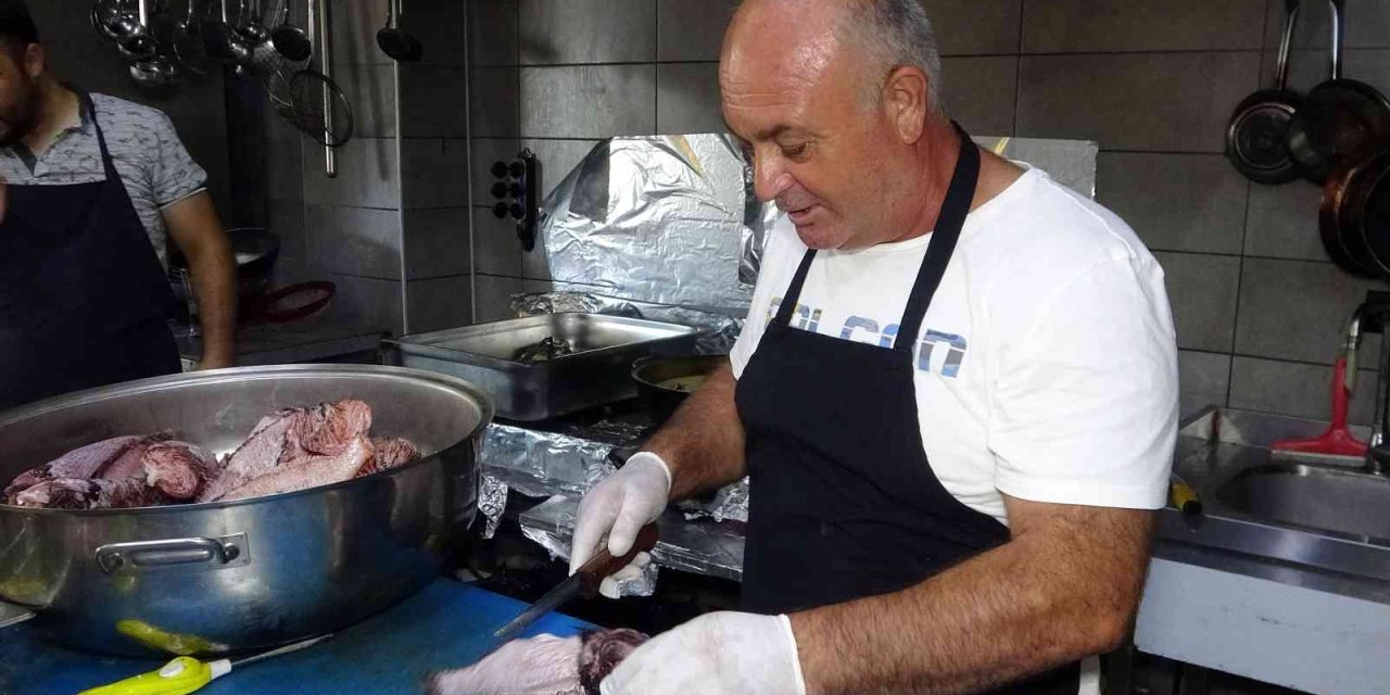 Akdeniz’in İstilacı Türü “aslan Balığı” Ekonomiye Kazandırılıyor