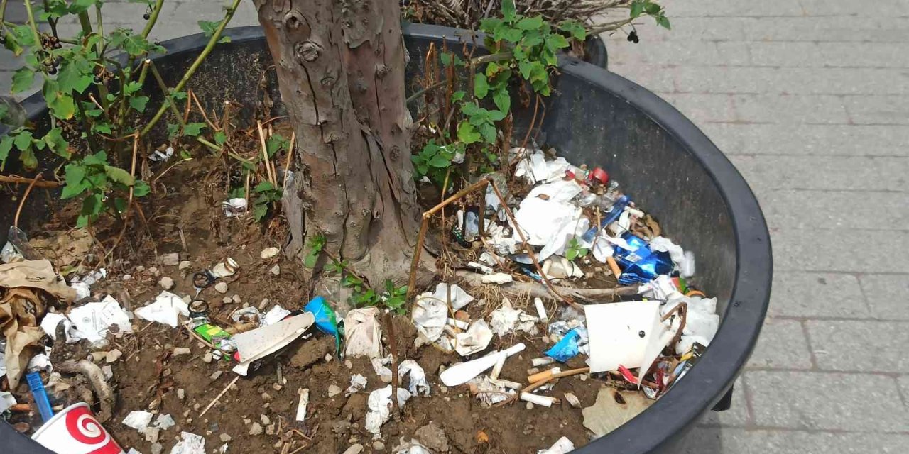 Duyarsız Vatandaşlar Bitki Saksısını Çöplük Yaptı