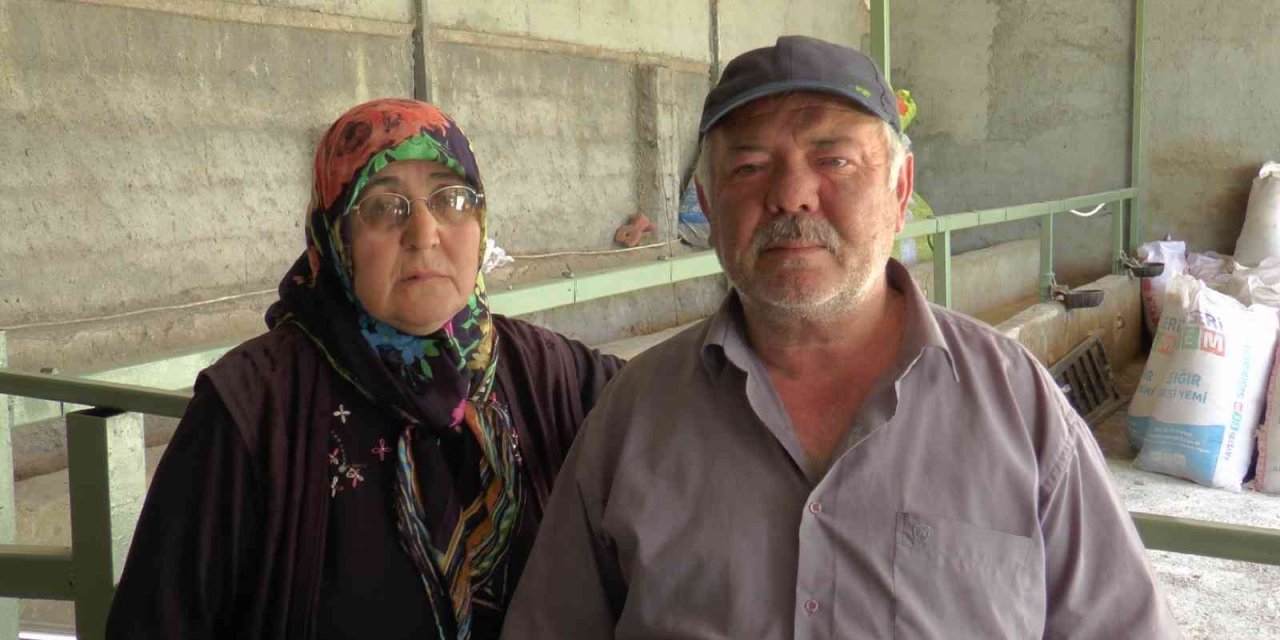 Hayvanları Telef Olan Aile Ortada Kaldı