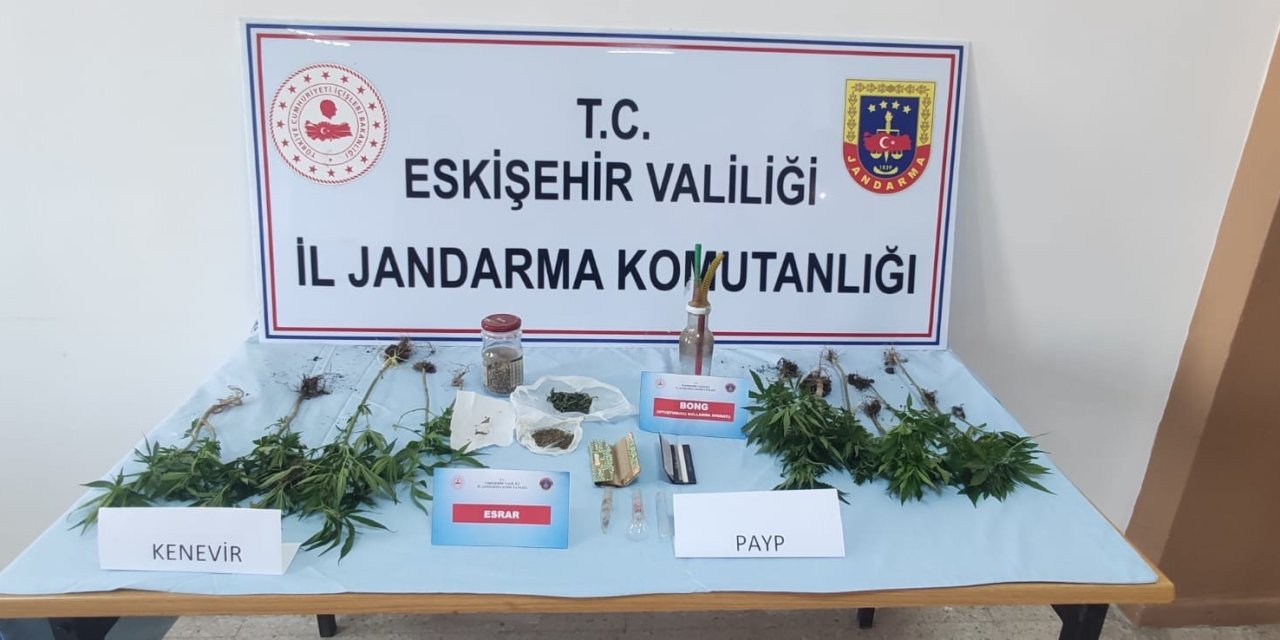 Kenevir Bitkisi Yetiştirilen Eve Jandarma Operasyonu