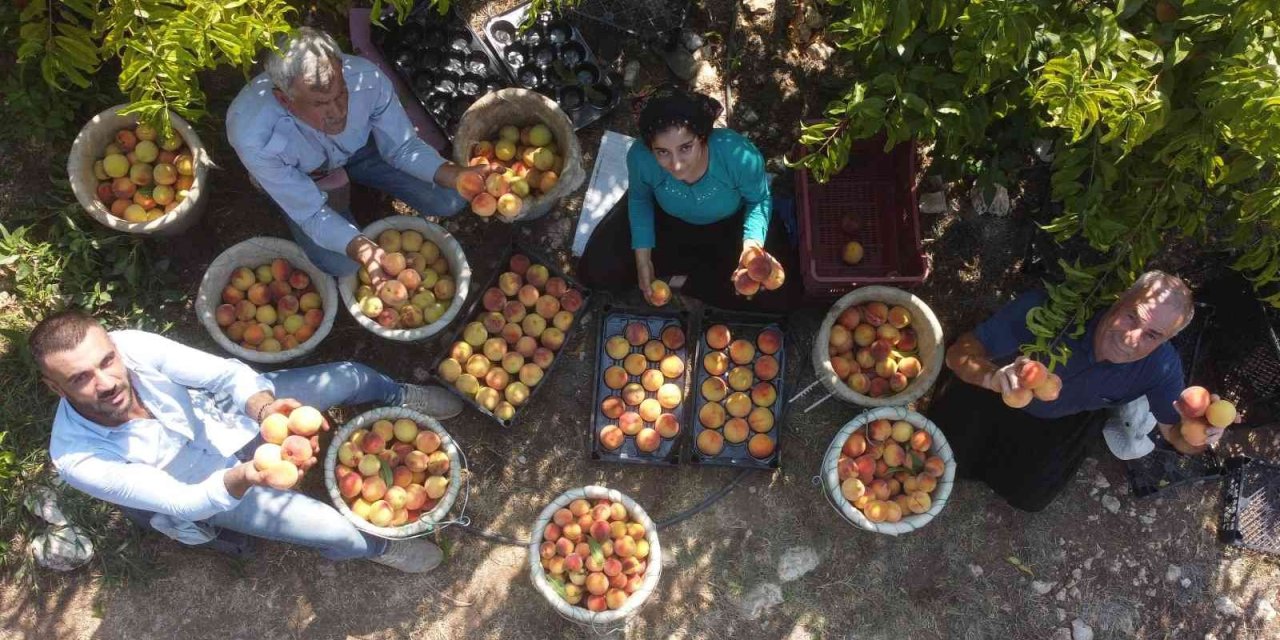 Üreticide 2 Tl 30 Kuruş, Marketlerde 13-14 Tl