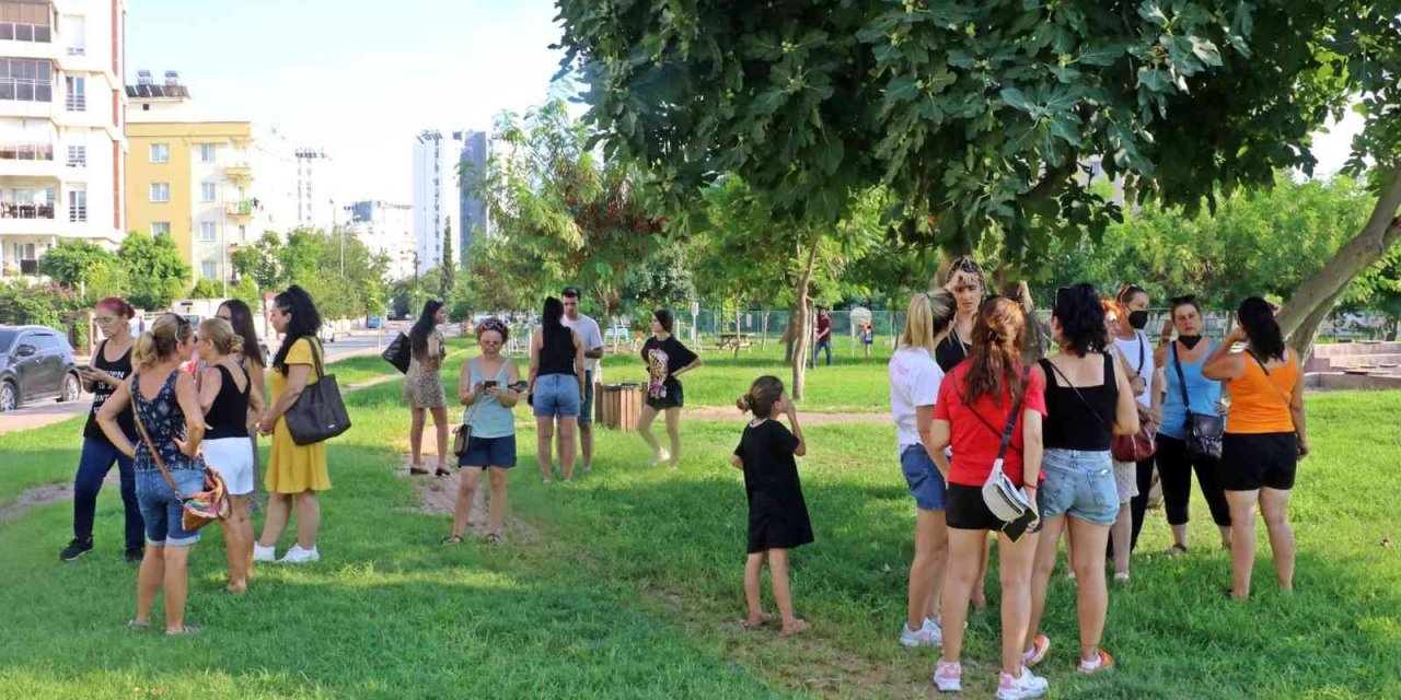 Antalya’da Köpek Ve Kedi Zehirlenmeleri Hayvanseverleri Ayaklandırdı