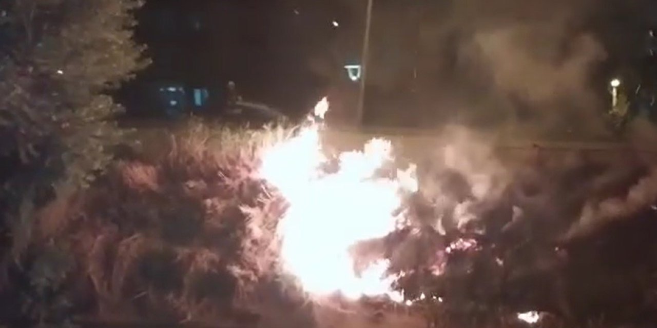 Çayırlık Alanda Çıkan Yangın Büyümeden Söndürüldü