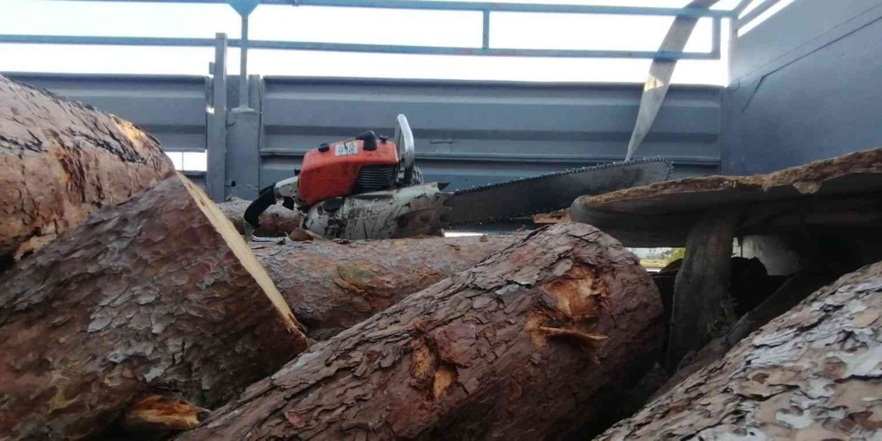 Manavgat’ta Kaçak Kesime Geçit Yok