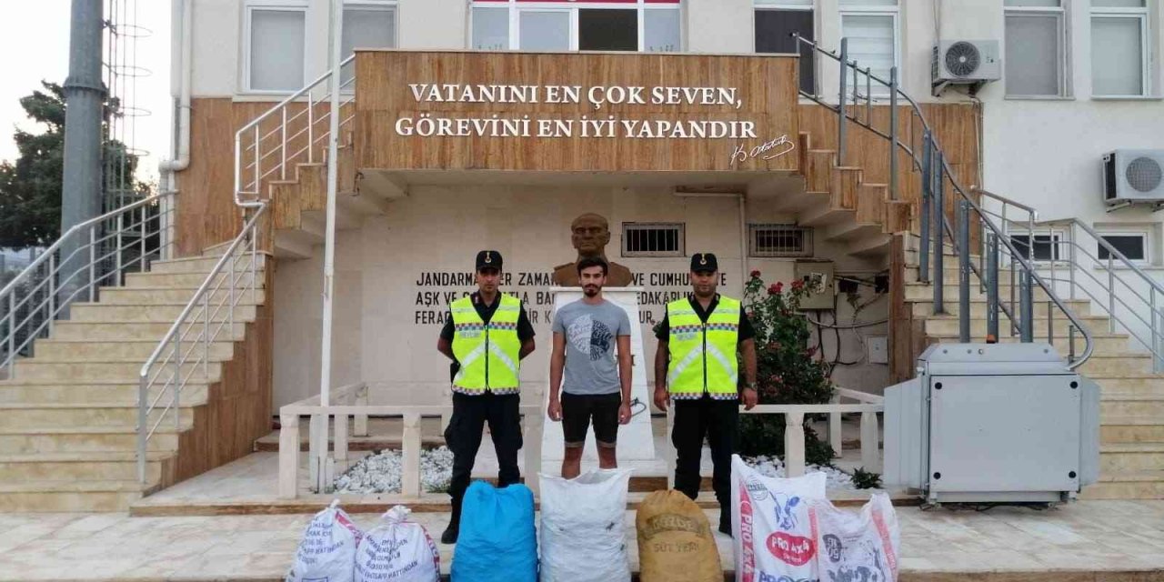 13 Çuval Keçiboynuzu Çalan 6 Kişi Yakalandı