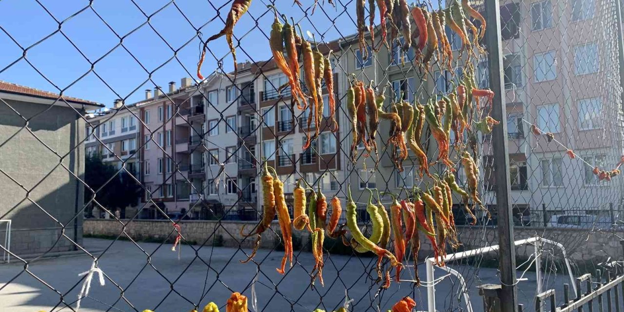 Okul Demirlerinde Sebze Kurutuyorlar