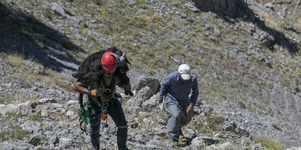 3 Gün Yamaçta Mahsur Kalan Keçiyi İtfaiye Ekipleri Kurtardı