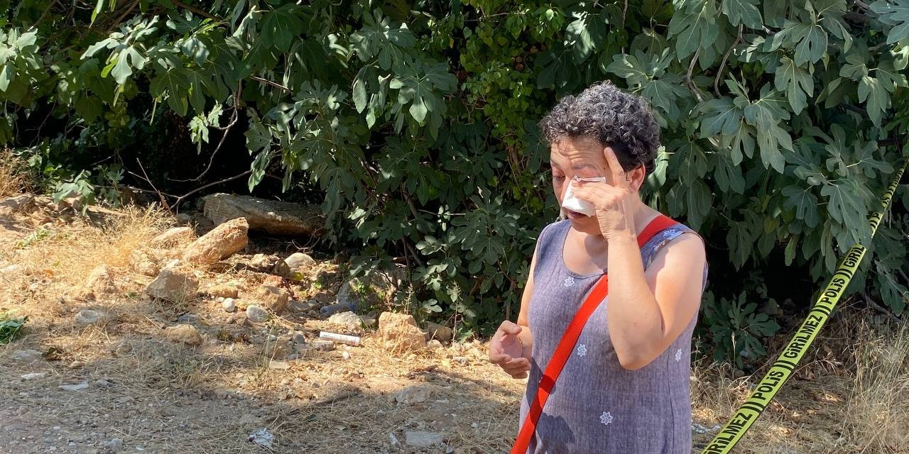 Antalya’da 20 Köpeğin Zehirlendiği İhbarı