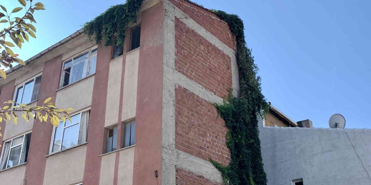 Sarmaşıklar 4 Katlı Binanın Çatısına Kadar Uzandı