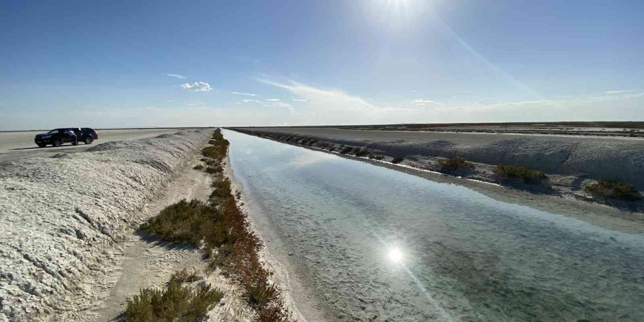 Tuz Gölü’ne Taşınan Sular Flamingo Ölümlerini Önledi