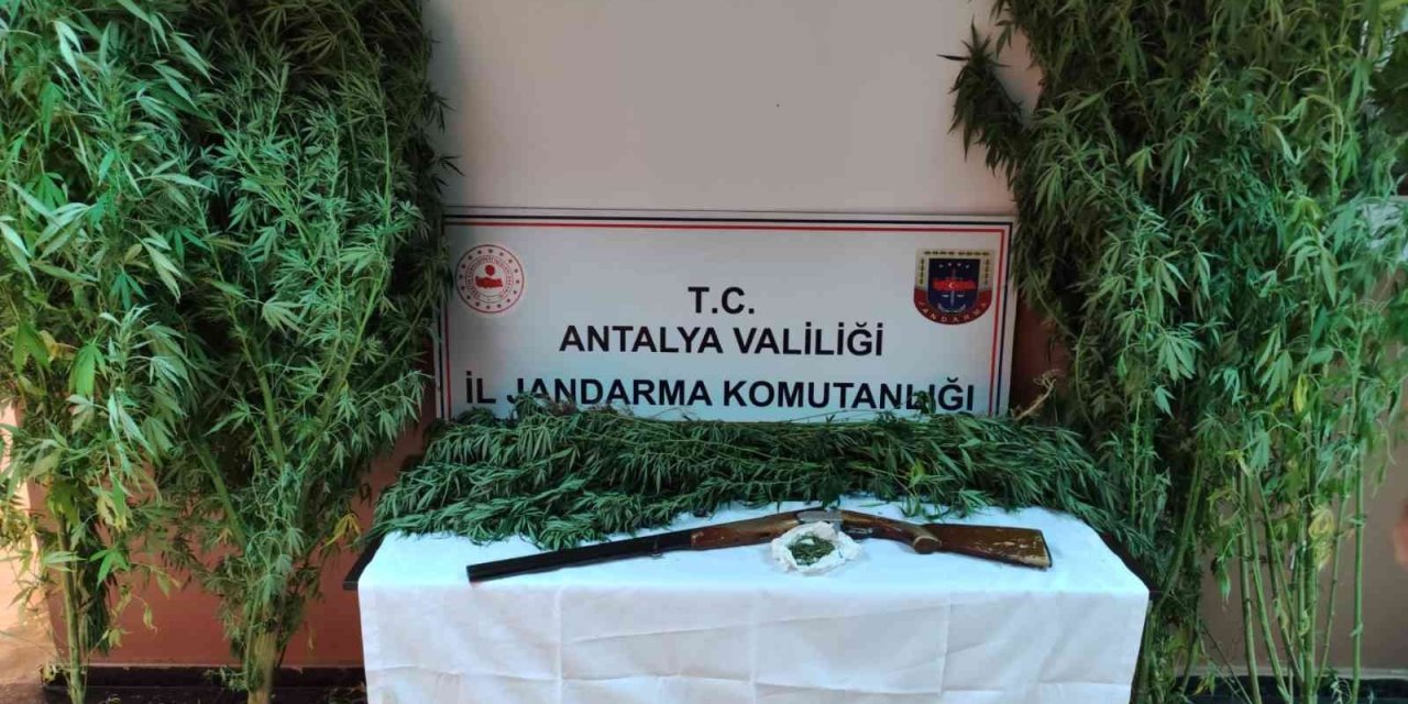 Jandarmadan Döşemealtı’nda Kenevir Baskını