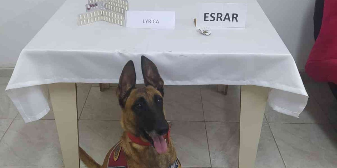 Yolcu Otobüsündeki Uyuşturucu Madde Sevkiyatına Jandarma Baskını