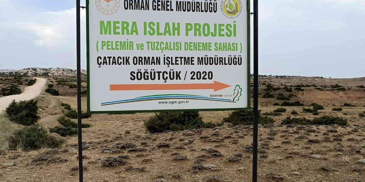 Tuz Çalısı Ve Bozkır Otu Deneme Sahası Projesi Yerinde İncelendi