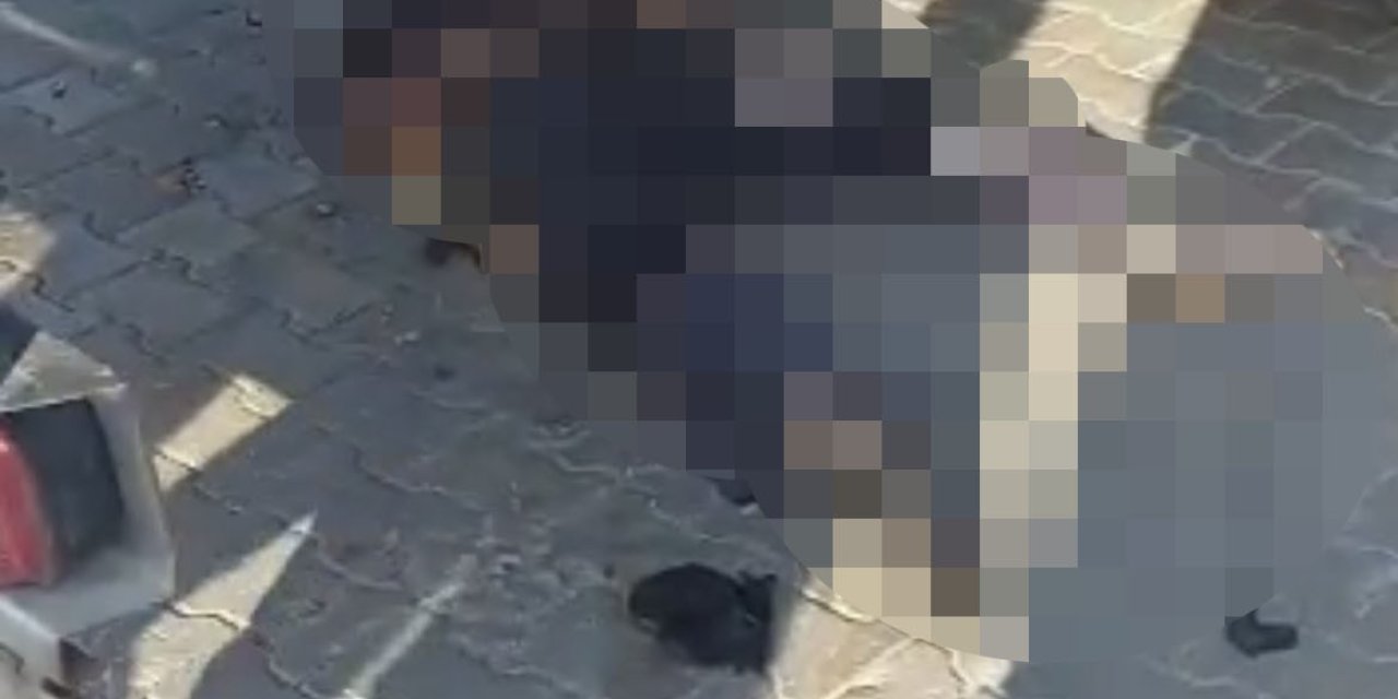 Motosikleti İle Tıra Çarpan Genç Hayatını Kaybetti