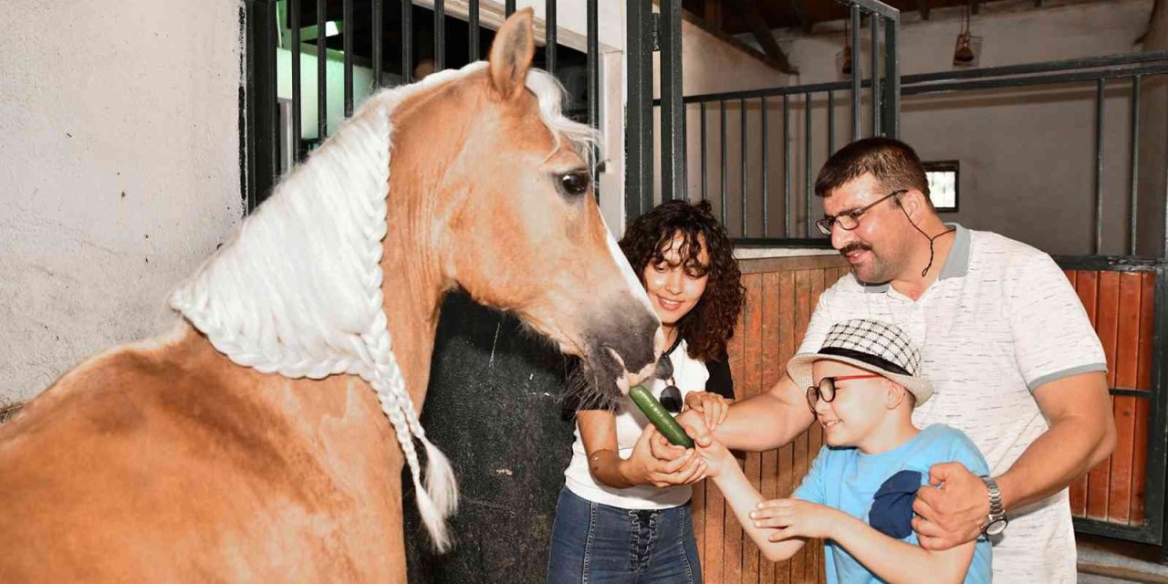 Tepebaşı’nda Özel Bireylere Yönelik Adaptif Binicilik Eğitimleri