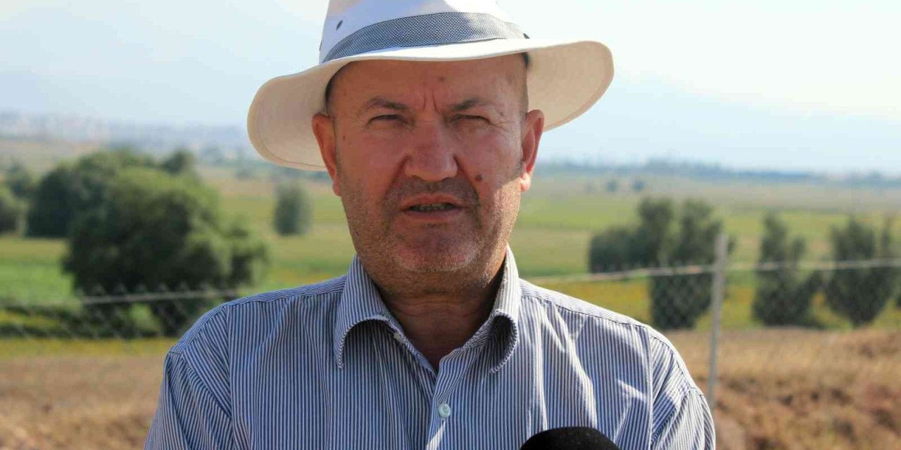 3 Bin Yıl Önce De Festival Varmış