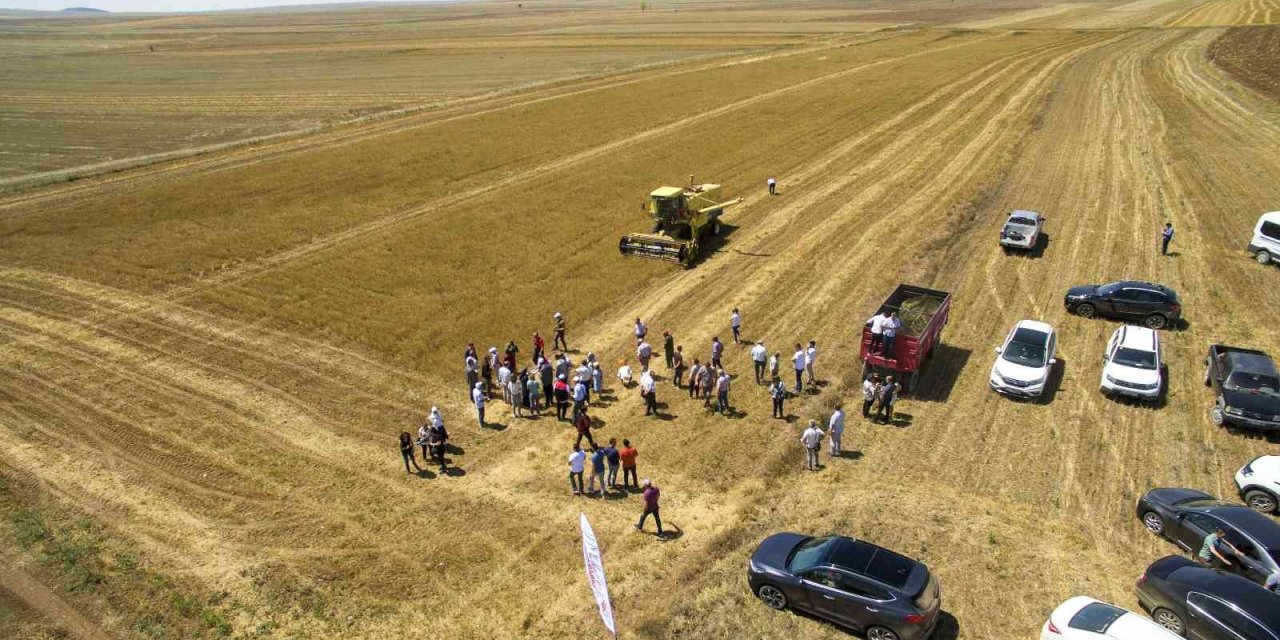 Eskişehir’de ‘iyi Tarım Sertifikalı’ Çörekotu Üretildi