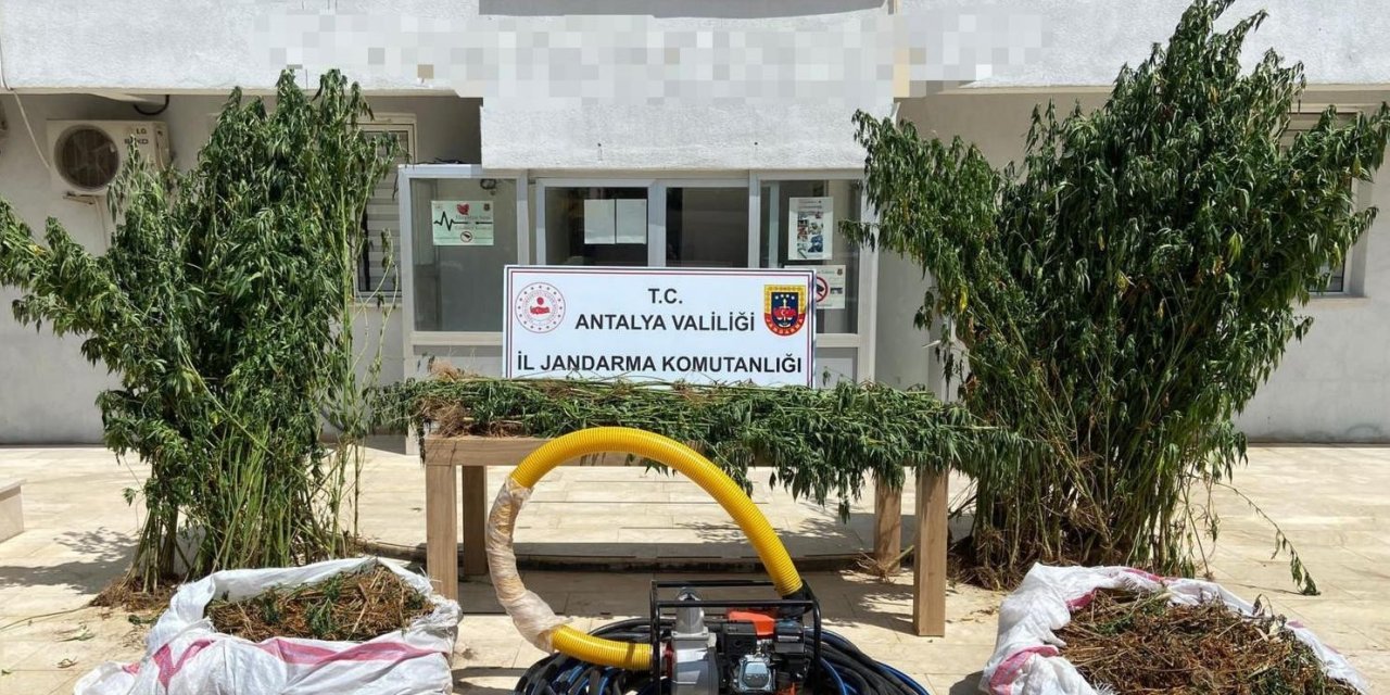 Jandarma 16 Kilogram Esrar Ele Geçirdi