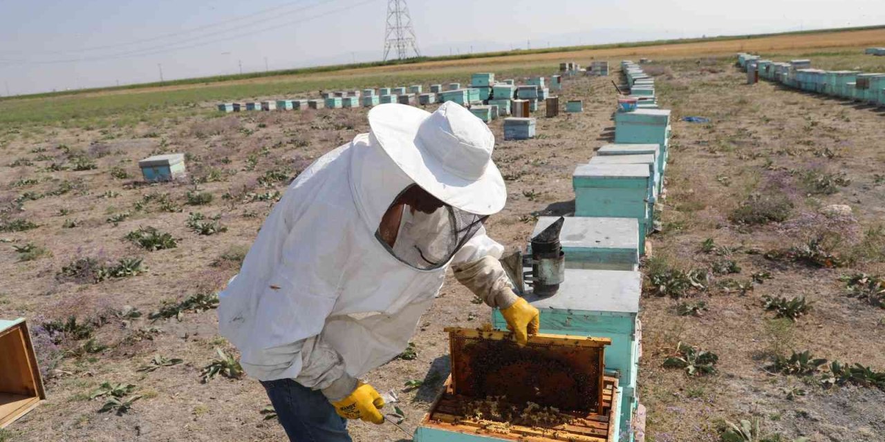 Konya Büyükşehir Destekledi, Bal Üreticisinin Rekoltesi Arttı