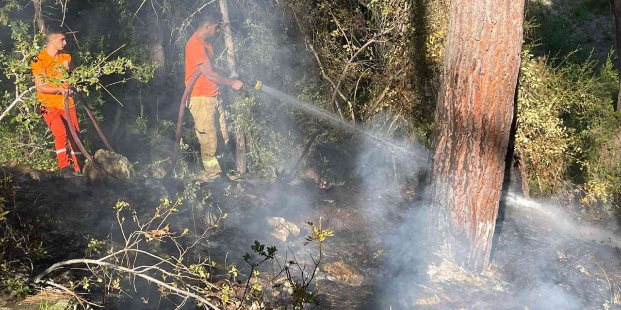 Alanya’daki Orman Yangını Hızlı Müdahaleyle Büyümeden Söndürüldü