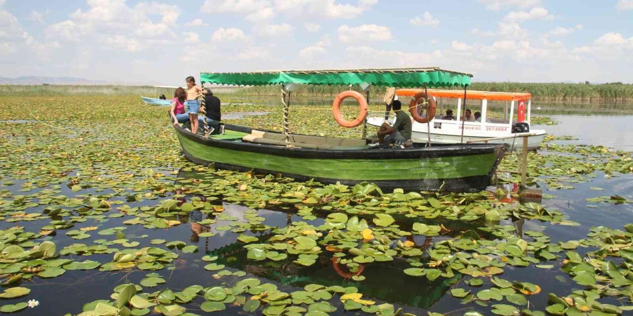 Beyşehir Gölündeki Nilüfer Bahçesi Hayran Bırakıyor