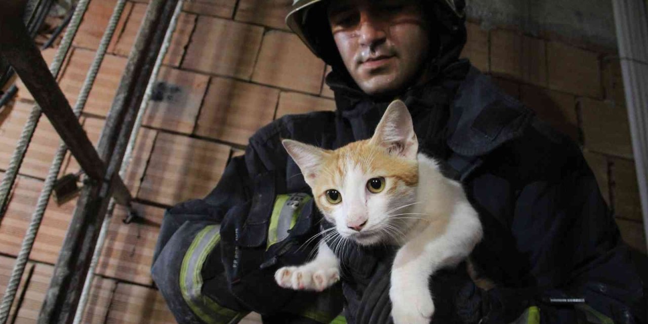 Önce Kurtarıldı, Sonra Kapı Kapı Sahibi Arandı