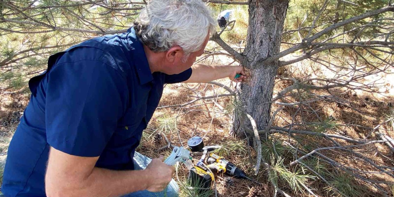 Tuz Gölü Havzasında Ayakta Kalacak Ağaç Türleri Belirlenecek