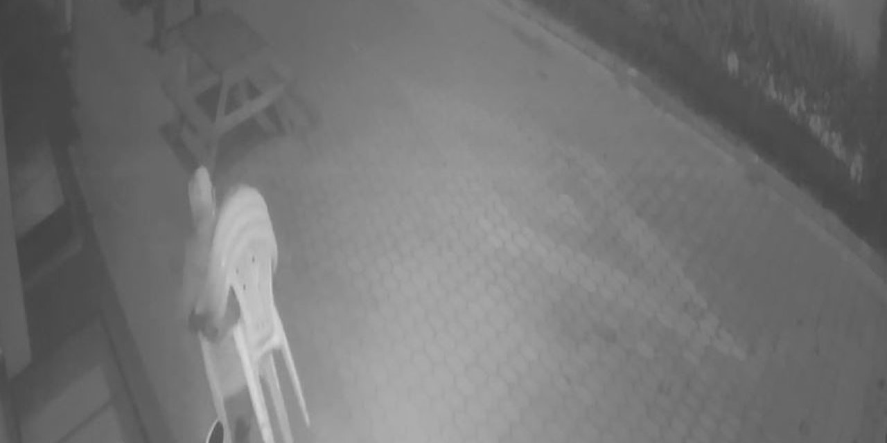 Siteye Dadanan Hırsız, Yönetimi Canından Bezdirdi