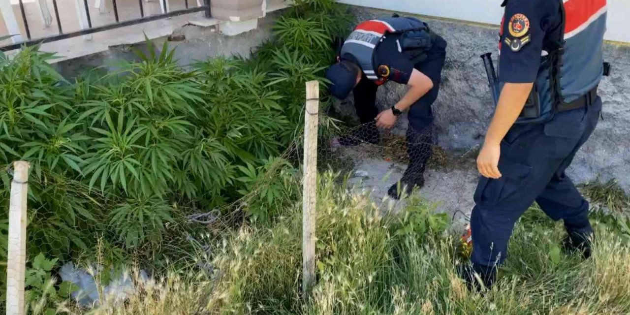 Aksaray’da 2 Köyde Uyuşturucu Operasyonu: 1’i Kadın 2 Gözaltı